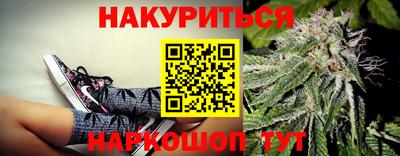 сатива Обнинск