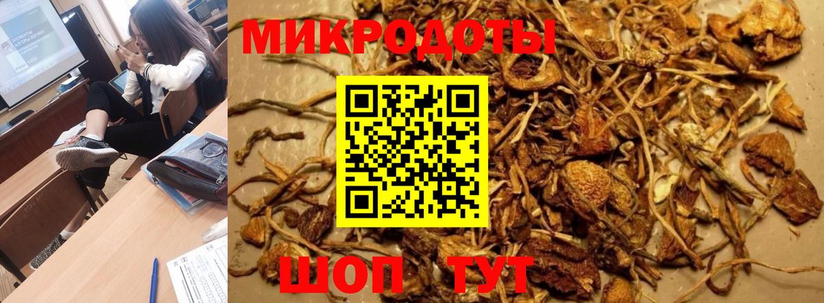 Галлюциногенные грибы прущие грибы  Вход с VPN  Сухой Лог  Псилоцибиновые грибы Psilocybe 